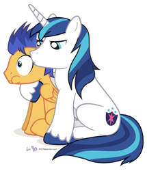 Size: 700x814 | Tagged: safe, artist:dm29, flash sentry, shining armor, pony, unicorn, duo, overprotective, overprotective armor, simple background, transparent background