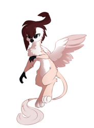 Size: 954x1296 | Tagged: safe, artist:little-sketches, derpibooru import, oc, oc only, oc:masashi, griffon, chest fluff, griffon oc, griffonized, male, pale belly, simple background, solo, species swap, white background