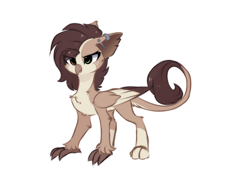 Size: 1128x824 | Tagged: safe, artist:little-sketches, derpibooru import, oc, griffon, eye clipping through hair, female, griffon oc, heterochromia, pale belly, simple background, solo, white background