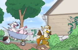 Size: 8000x5120 | Tagged: safe, artist:difis, derpibooru import, oc, oc only, oc:ember burd, oc:rosa, griffon, absurd resolution, colored wings, duo, eared griffon, garden, gradient wings, griffon oc, hedge clippers, house, motion lines, multicolored wings, on back, open beak, paw pads, paws, shears, sitting, talons, this will end in pain, wheelbarrow
