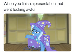 Size: 1242x917 | Tagged: safe, derpibooru import, edit, edited screencap, screencap, trixie, road to friendship, awkward, magic show, meme, presentation, solo, text, vulgar