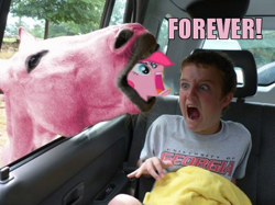 Size: 430x322 | Tagged: safe, pinkie pie, horse, human, pony, caption, forever, irl, irl horse, nightmare fuel, open mouth, photo, ponies in real life, wat, wide eyes