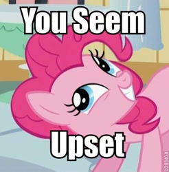 Size: 422x428 | Tagged: safe, pinkie pie, earth pony, pony, caption, female, image macro, mare, pink coat, pink mane, you seem upset