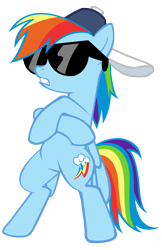 Size: 1850x2854 | Tagged: safe, artist:seyrii, rainbow dash, pegasus, pony, may the best pet win, simple background, sunglasses, transparent background, vector