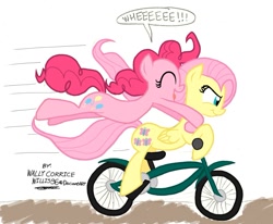 Size: 1155x953 | Tagged: safe, artist:willisninety-six, fluttershy, pinkie pie, earth pony, pegasus, pony, bicycle, ride to conquer cancer