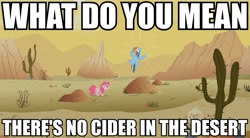 Size: 865x479 | Tagged: safe, screencap, pinkie pie, rainbow dash, earth pony, pegasus, pony, cactus, caption, cider dash, desert, duo, female, hub logo, image macro, mare, meme, saguaro cactus, that pony sure does love cider