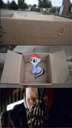 Size: 832x1470 | Tagged: safe, rainbow dash, pegasus, pony, fanfic:my little dashie, bane, dashie meme, evil people finding dash meme, exploitable meme, meme, photo, the dark knight rises