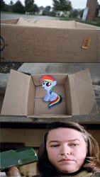 Size: 832x1470 | Tagged: safe, rainbow dash, pegasus, pony, fanfic:my little dashie, annie wilkes, dashie meme, evil people finding dash meme, exploitable meme, meme, misery, sledgehammer, stephen king