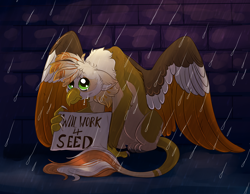 Size: 2700x2100 | Tagged: safe, artist:loryska, derpibooru import, oc, oc only, oc:ember burd, griffon, begging, big eyes, brick wall, colored wings, crying, depressing, eared griffon, gradient wings, griffon oc, homeless, looking up, multicolored wings, paws, rain, sad, series finale blues, sitting, solo, spread wings, talons, unemployment, will x for y, wings