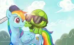 Size: 2000x1214 | Tagged: safe, artist:copygeijutsuka, rainbow dash, tank, pegasus, pony, backwards ballcap, baseball cap, cap, hat, lens flare, sunglasses