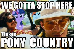 Size: 500x332 | Tagged: safe, derpibooru import, rainbow dash, twilight sparkle, pegasus, pony, crossover, dashface, fear and loathing in las vegas, image macro, raoul duke, we can't stop here this is bat country