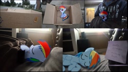 Size: 4053x2275 | Tagged: safe, rainbow dash, human, pony, fanfic:my little dashie, cute, filly, irl, photo, ponies in real life, vector