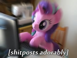 Size: 603x452 | Tagged: safe, artist:nekokevin, starlight glimmer, pony, unicorn, series:nekokevin's glimmy, computer, cute, female, glimmerbetes, glimmerposting, image macro, irl, keyboard, mare, meme, photo, plushie, shitposting, shitposting loudly, smiling, solo, vulgar, zoom blur