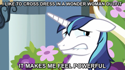 Size: 993x559 | Tagged: safe, shining armor, pony, unicorn, crossdressing, humiliation, image macro, justice keague war, solo, wonder woman