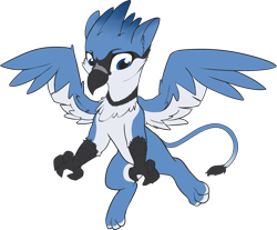 Size: 2279x1884 | Tagged: safe, artist:lux, derpibooru exclusive, derpibooru import, oc, oc:lafiri, griffon, 2020 community collab, bluejay griffon, derpibooru community collaboration, flying, griffon oc, looking down, male, simple background, solo, transparent background