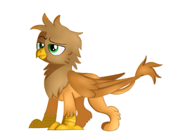 Size: 1245x955 | Tagged: safe, artist:jbond, derpibooru import, oc, oc only, oc:jacky breeze, griffon, griffon oc, griffonized, simple background, species swap, white background