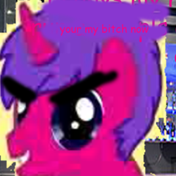 Size: 800x800 | Tagged: safe, oc, oc only, pony creator, ask, bartini, comic sans, grammar error, needs more jpeg, shitposting, stylistic suck, too much jpeg, tumblr