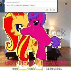 Size: 800x800 | Tagged: safe, oc, oc only, oc:hothead, pony creator, ask, bad edit, bartini, needs more jpeg, shitposting, stylistic suck, tumblr