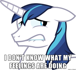 Size: 610x562 | Tagged: safe, shining armor, pony, unicorn, horn, image macro, male, reaction image, solo, stallion, white coat