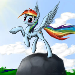 Size: 900x900 | Tagged: safe, artist:rule1of1coldfire, rainbow dash, pegasus, pony, female, mare, solo