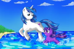 Size: 1286x858 | Tagged: safe, artist:darkcrazyd, shining armor, twilight sparkle, pony, unicorn, beach, filly, ocean