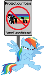 Size: 6000x10285 | Tagged: safe, artist:yoshimon1, rainbow dash, scootaloo, pegasus, pony, absurd resolution, crossed arms, sign, simple background, transparent background