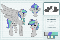 Size: 1024x683 | Tagged: safe, artist:littledreamycat, oc, oc only, oc:storm feather, pony, :p, bust, clothes, cutie mark, male, reference sheet, scarf, solo, tongue out