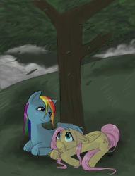 Size: 790x1034 | Tagged: safe, artist:valiumangel, fluttershy, rainbow dash, pegasus, pony, rain, tree