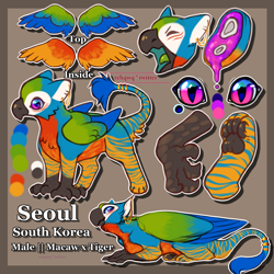 Size: 4000x4000 | Tagged: safe, artist:rehqwq, derpibooru import, oc, oc:seoul, big cat, bird, griffon, hybrid, original species, parrot, tiger, griffon oc, macaw, male, rehqwq, seoul