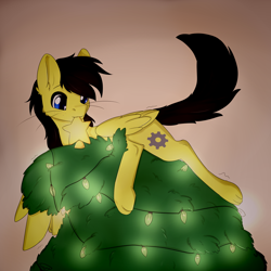 Size: 2000x2000 | Tagged: safe, artist:dreamy, artist:littledreamycat, oc, oc:gear, cat pony, original species, pegasus, pony, christmas, christmas tree, holiday, patreon, patreon reward, tree