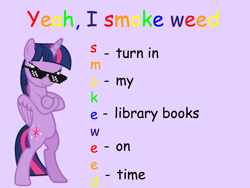 Size: 960x720 | Tagged: safe, artist:uponia, edit, edited edit, editor:countcoltnackh, twilight sparkle, twilight sparkle (alicorn), alicorn, pony, acronym, bad acronyms, bipedal, caption, comic sans, crossed hooves, deal with it, exploitable meme, female, fresh princess and friends' poses, fresh princess of friendship, image macro, meme, rainbow text, shit meme, shitposting, simple background, smug, solo, sunglasses, text, the fresh prince of bel-air, vector