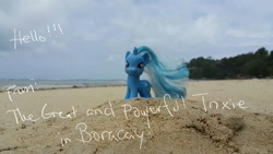 Size: 2560x1440 | Tagged: safe, derpibooru import, trixie, pony, unicorn, beach, contest entry, female, irl, mare, photo