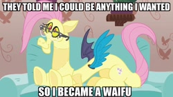 Size: 1280x720 | Tagged: safe, edit, edited screencap, screencap, discord, draconequus, discordant harmony, caption, clothes, costume, disguise, english, fluttershy suit, glasses, happy, image macro, impact font, meme, shitposting, sofa, solo, text, they told me, waifu, weird fetish, wings, x told me