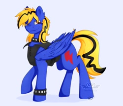 Size: 965x828 | Tagged: safe, artist:littledreamycat, oc, oc only, oc:thunder lightning, pegasus, pony