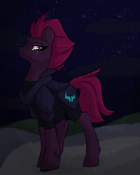 Size: 2000x2500 | Tagged: safe, artist:dreamy, artist:littledreamycat, fizzlepop berrytwist, tempest shadow, pony, unicorn, my little pony: the movie, female, high res, looking at you, looking down at you, mare, night, sky, solo, standing, stars, three quarter view