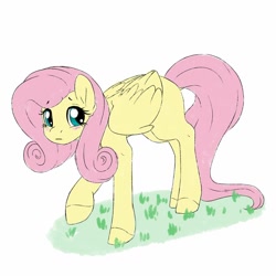 Size: 1024x1024 | Tagged: safe, artist:littledreamycat, fluttershy, pegasus, pony, blushing, cute, dock, female, folded wings, looking at you, mare, missing cutie mark, raised hoof, shyabetes, simple background, solo, three quarter view, white background, wings