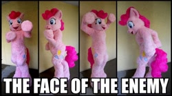 Size: 700x392 | Tagged: safe, pinkie pie, human, fursuit, image macro, irl, irl human, photo