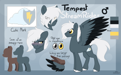 Size: 4000x2500 | Tagged: safe, artist:dreamy, artist:littledreamycat, oc, oc:tempest streamrider, pegasus, commission, male, reference, reference sheet, stallion