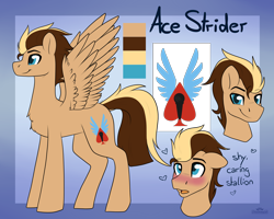 Size: 2500x2000 | Tagged: safe, artist:dreamy, artist:littledreamycat, oc, oc:ace strider, pegasus, commission, reference sheet