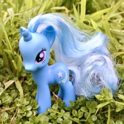 Size: 1280x1280 | Tagged: safe, derpibooru import, trixie, pony, irl, photo