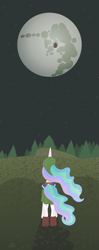 Size: 1611x4087 | Tagged: safe, artist:liracrown, nightmare moon, princess celestia, alicorn, pony, crossover, link, mare in the moon, moon, night, shield, stars, the legend of zelda, the legend of zelda: majora's mask, when you see it