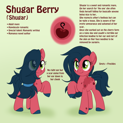 Size: 2000x2000 | Tagged: safe, artist:dreamy, artist:littledreamycat, oc, oc:shugar berry, earth pony, female, mare, reference sheet, scar