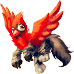 Size: 1024x1023 | Tagged: safe, artist:amura-of-jupiter, derpibooru import, oc, oc only, bird, cardinal, cat, griffon, beak, claws, commission, eyelashes, feather, female, female oc, flying, fur, golden eyes, griffon oc, looking up, maine coon, raised leg, red fur, red wings, simple background, solo, spread wings, tail, transparent background, wings