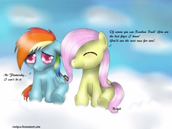 Size: 4000x3000 | Tagged: safe, artist:izelyca, fluttershy, rainbow dash, pegasus, pony, filly, sad