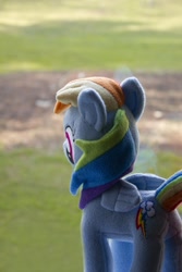 Size: 864x1296 | Tagged: safe, artist:davca, rainbow dash, fanfic:my little dashie, irl, photo, plushie, reference, window