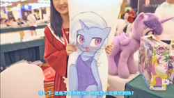 Size: 1366x768 | Tagged: safe, derpibooru import, spike, trixie, twilight sparkle, twilight sparkle (alicorn), alicorn, human, body pillow, china, irl, irl human, photo, plushie