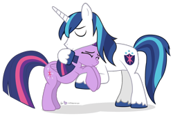 Size: 1000x667 | Tagged: safe, artist:dm29, shining armor, twilight sparkle, twilight sparkle (alicorn), alicorn, pony, unicorn, bbbff, cute, duo, female, hug, julian yeo is trying to murder us, mare, simple background, transparent background