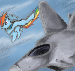 Size: 2124x1985 | Tagged: safe, artist:hewison, rainbow dash, pegasus, pony, awesome, f-22 raptor, female, flying, mare, plane, solo, wings