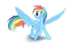 Size: 1500x910 | Tagged: safe, artist:rubrony, rainbow dash, pegasus, pony, solo