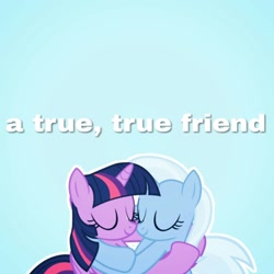 Size: 1280x1280 | Tagged: artist needed, safe, derpibooru import, trixie, twilight sparkle, twilight sparkle (alicorn), alicorn, pony, unicorn, best friends, cute, diatrixes, female, hug, mare, text